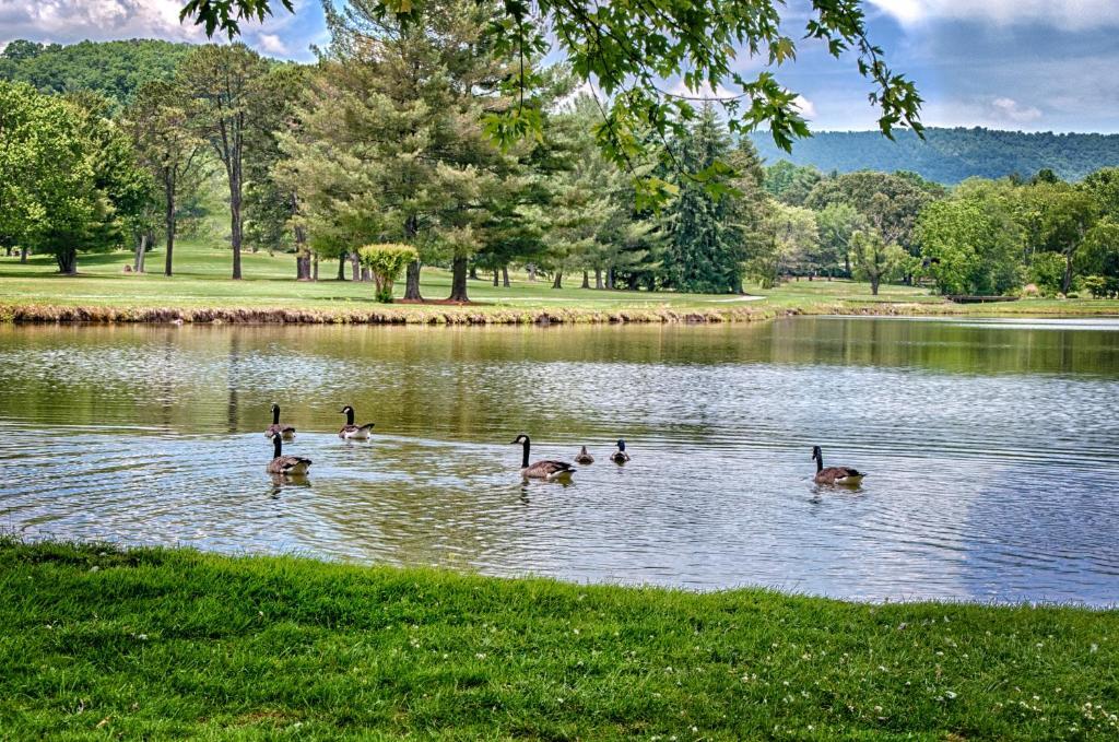 Valley Golf & 3* Etowah